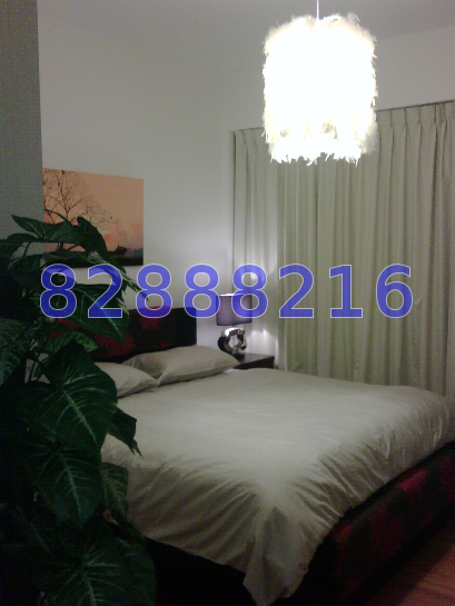 The Metropolitan Condominium (D3), Condominium #15413622